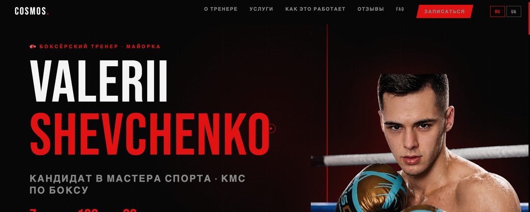 Home page of Cosmos Box